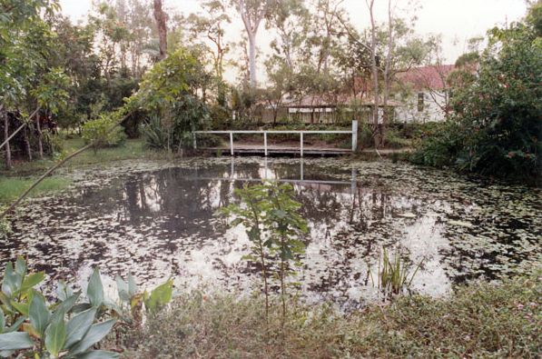Caboolture Historical Village - Waterhole