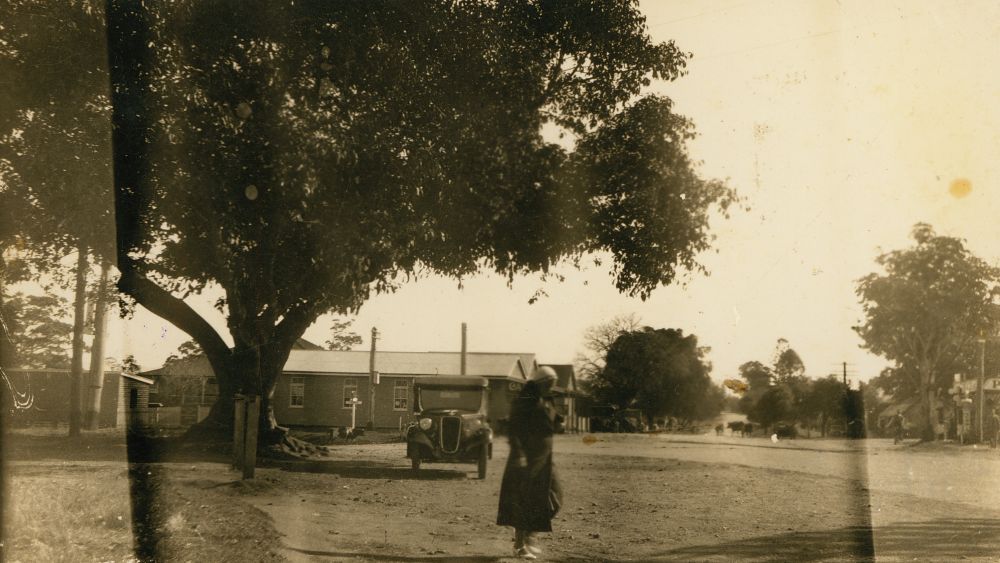 The Tree of Knowledge outside the Caboolture Post Office