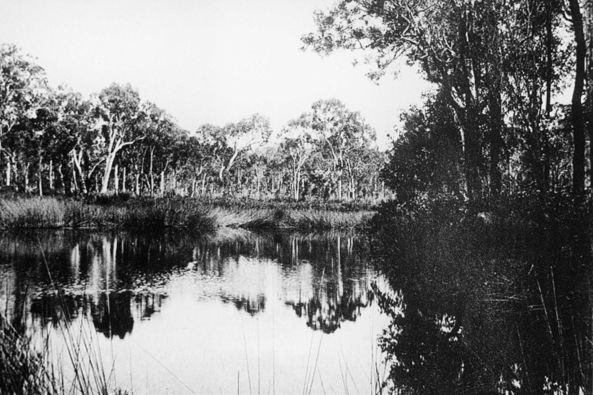 Lagoon near Burpengary, ca. 1890