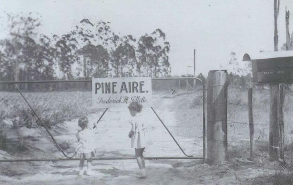 Kathy and Debbie Gillette at the front gate of Frederick and Heather Gillette's pineapple farm