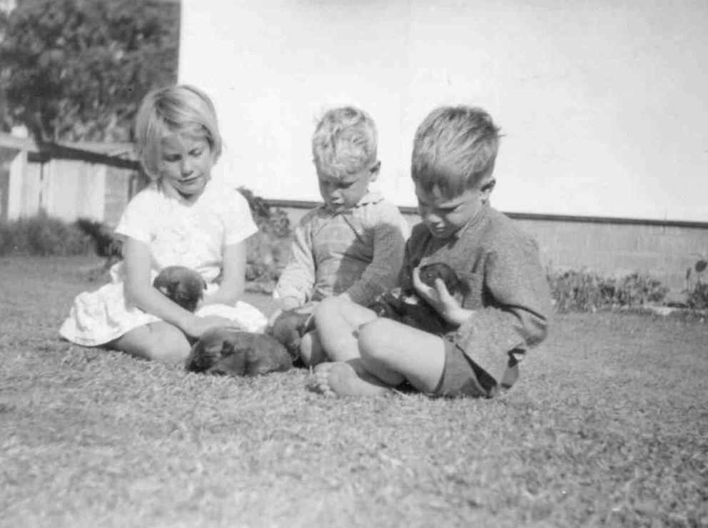 Alison, David and Kevin Collins with dingo pups, ca. 1963-1964