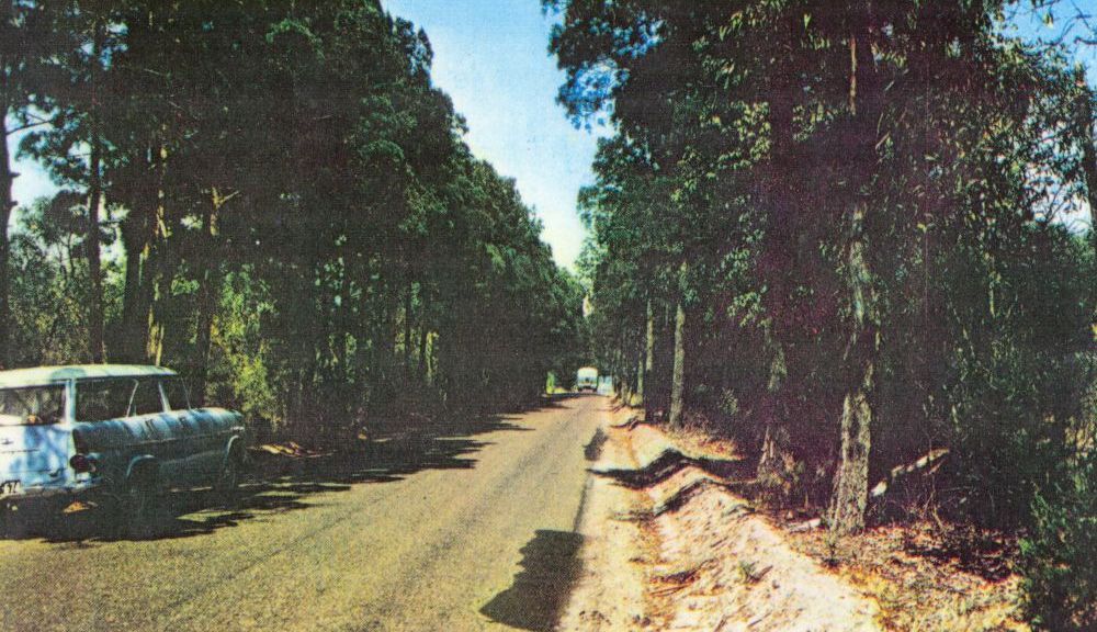 Ocean Beach Road on Bribie Island