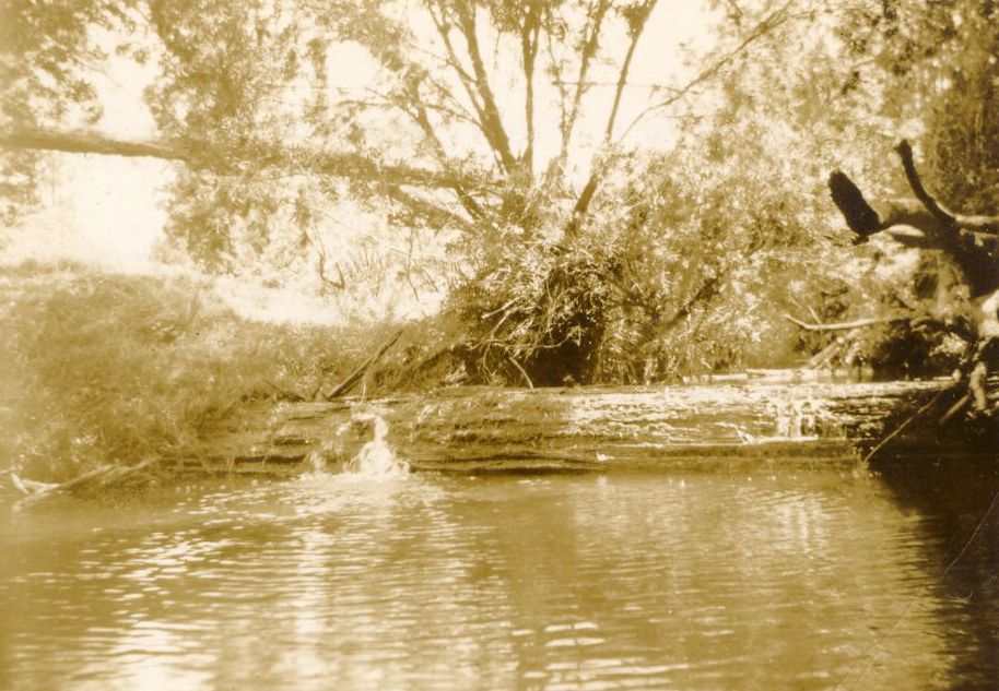 Swimming hole at Craig's Creek near Wamuran in the early 1940s