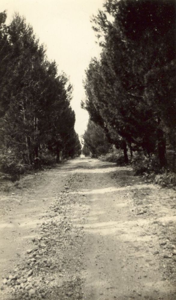 Campbell Street (now First Avenue), Bribie Island, ca. 1950