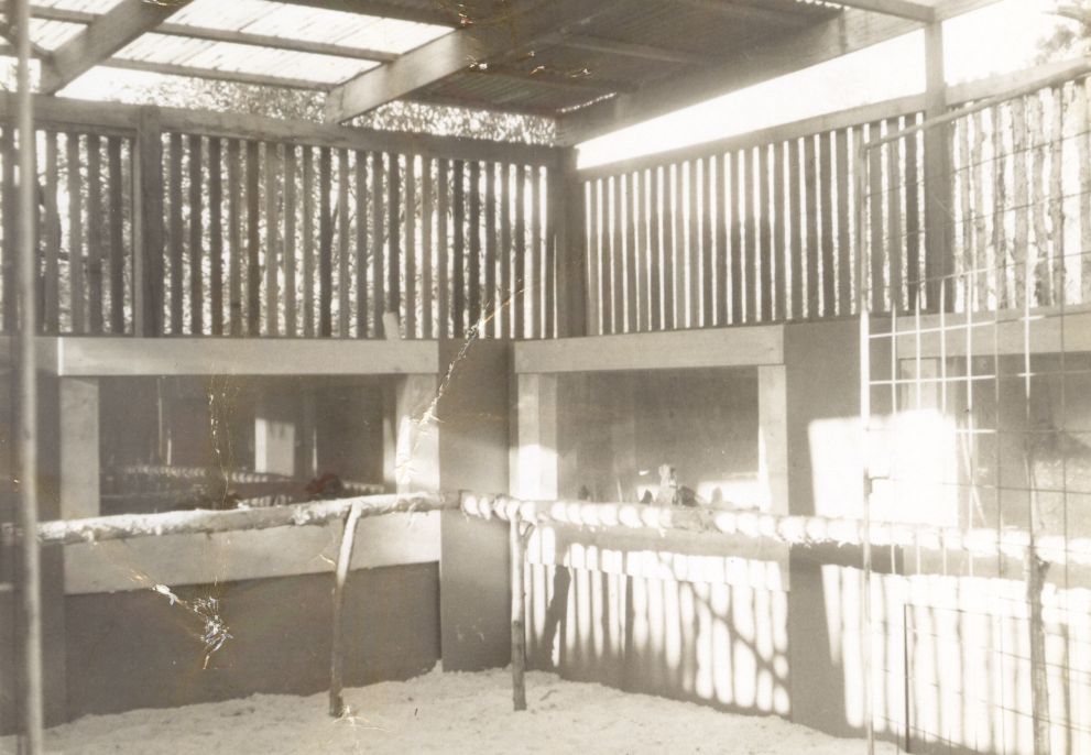Marine fish house / aquarium on Bribie Island, ca. 1962