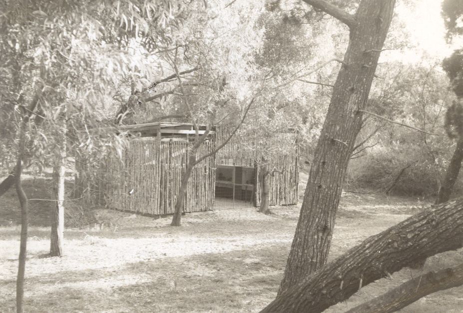 Marine fish house / aquarium on Bribie Island, ca. 1962