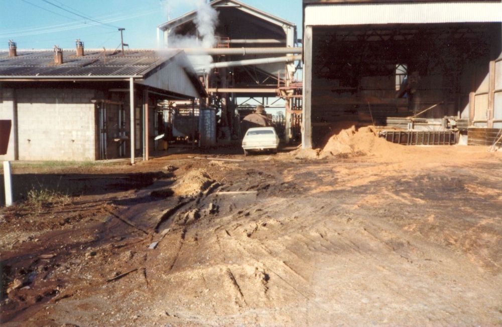 Wilkinson's Plantation Softwood Sawmilling and Processing Plant at Caboolture
