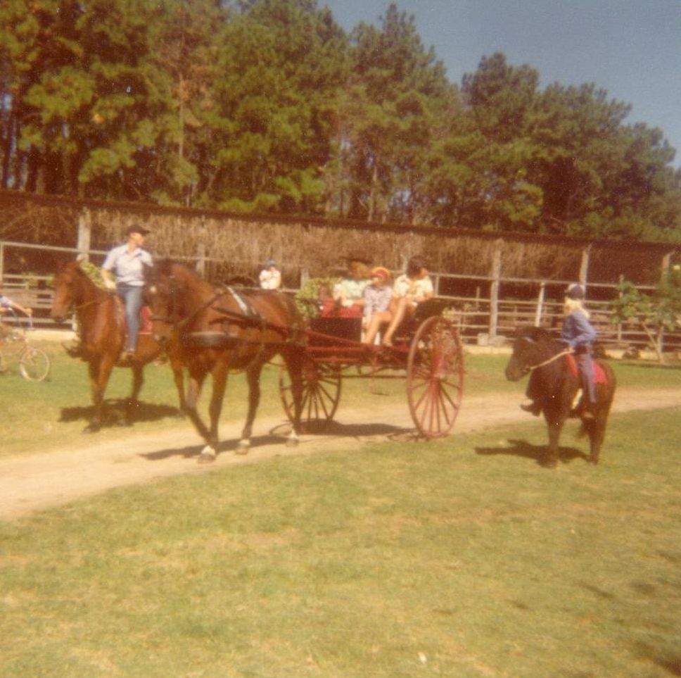 Members of John Moloney's family in a buggy owned by Arthur Turmaine, ca. 1975