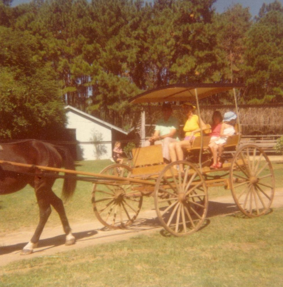 Members of John Moloney's family in a covered buggy owned by Arthur Turmaine, ca. 1975