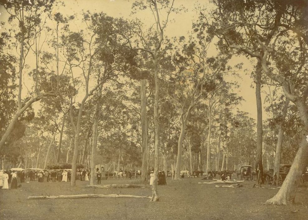 Race day at Morayfield racecourse, ca. 1890
