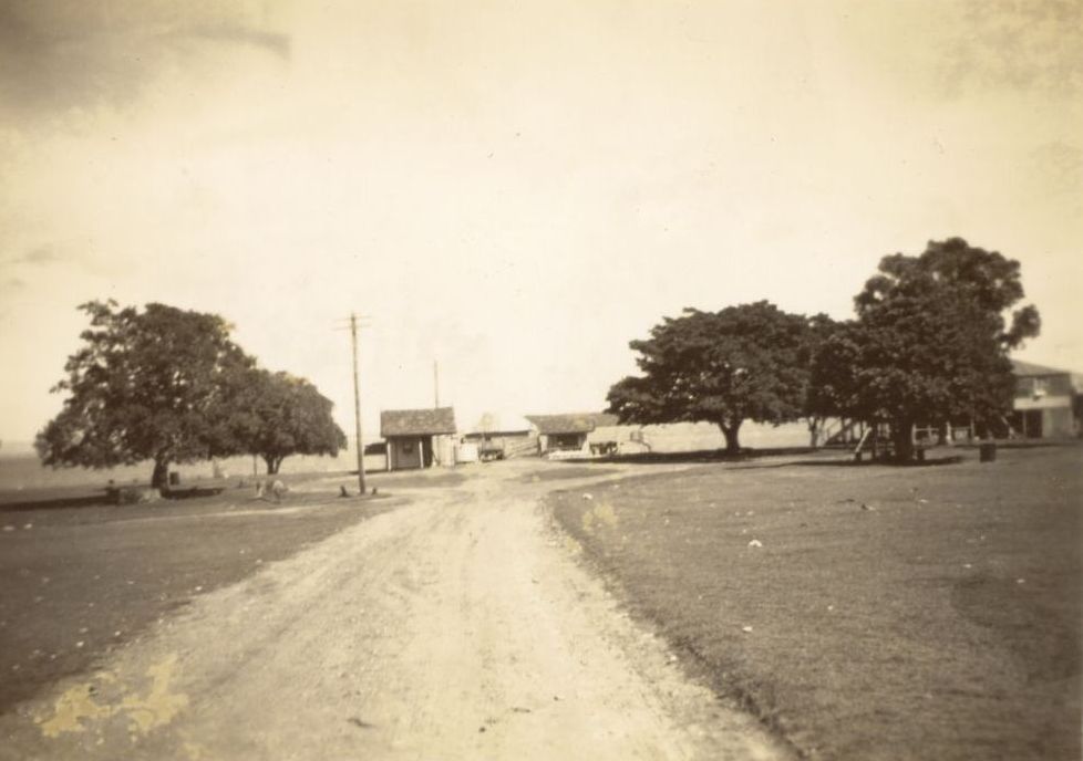 Bongaree Jetty from First Avenue