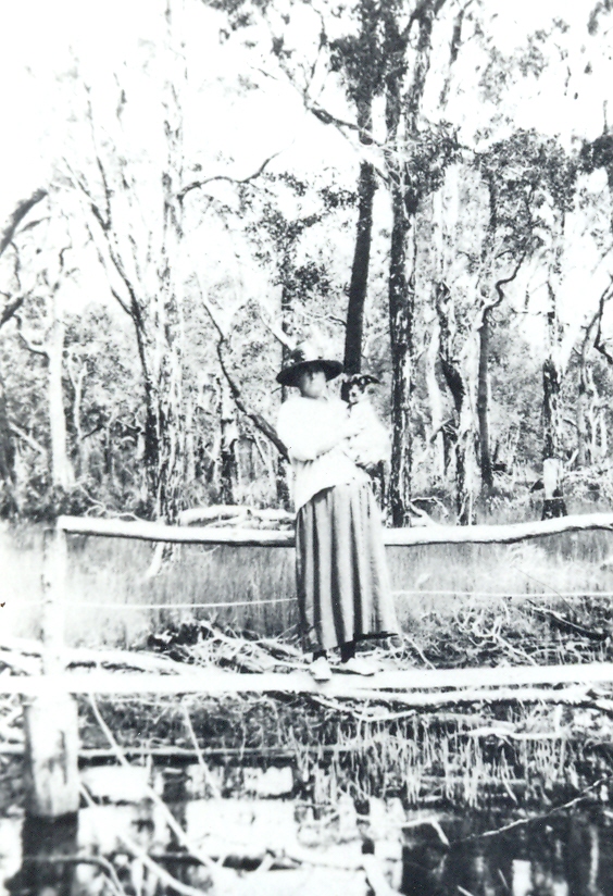 Standing on the original single plank walkway over Shirley Creek