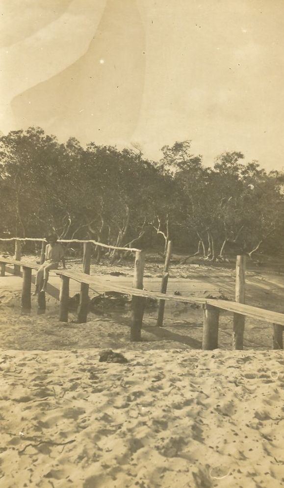 Original single plank walkway over Shirley Creek