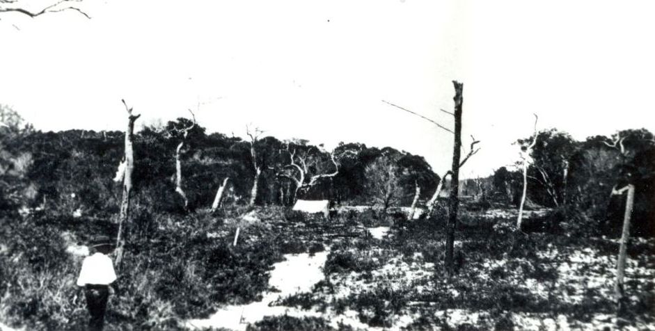 The track to Ocean Beach on Bribie Island