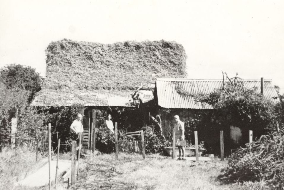 House in Lilla Street Woody Point