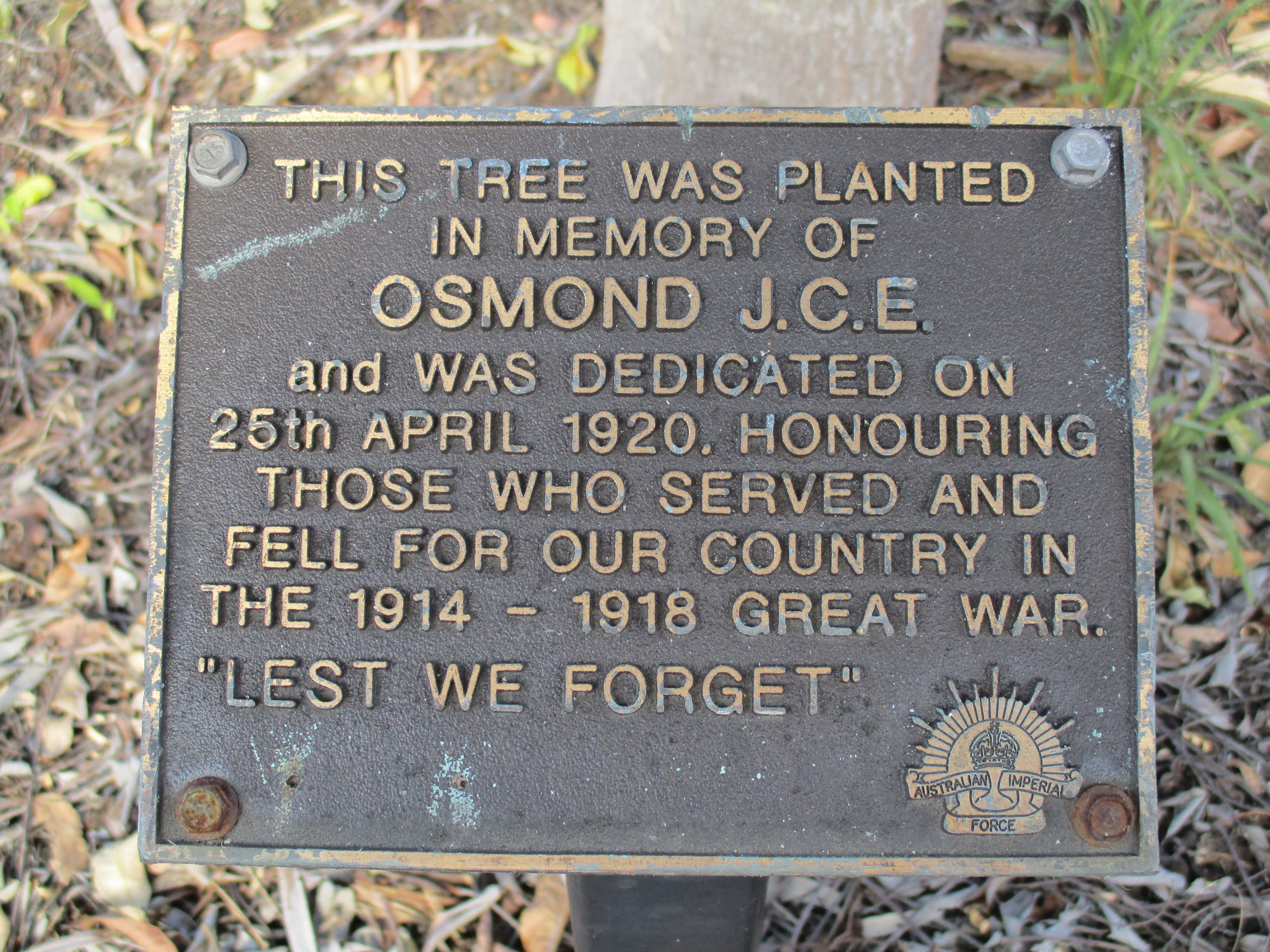 Woodford Memorial Trees - Osmond, J. C. E.
