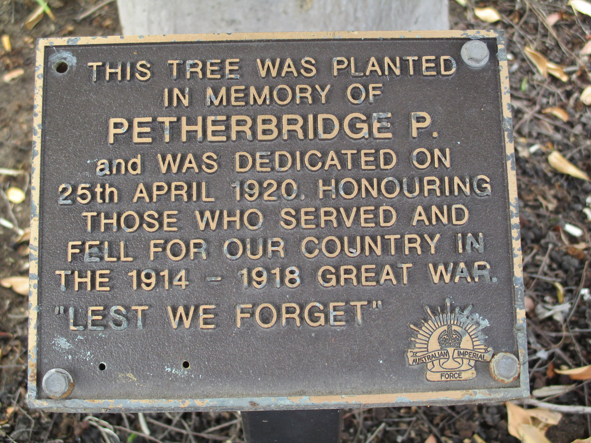 Woodford Memorial Trees - Petherbridge, P.