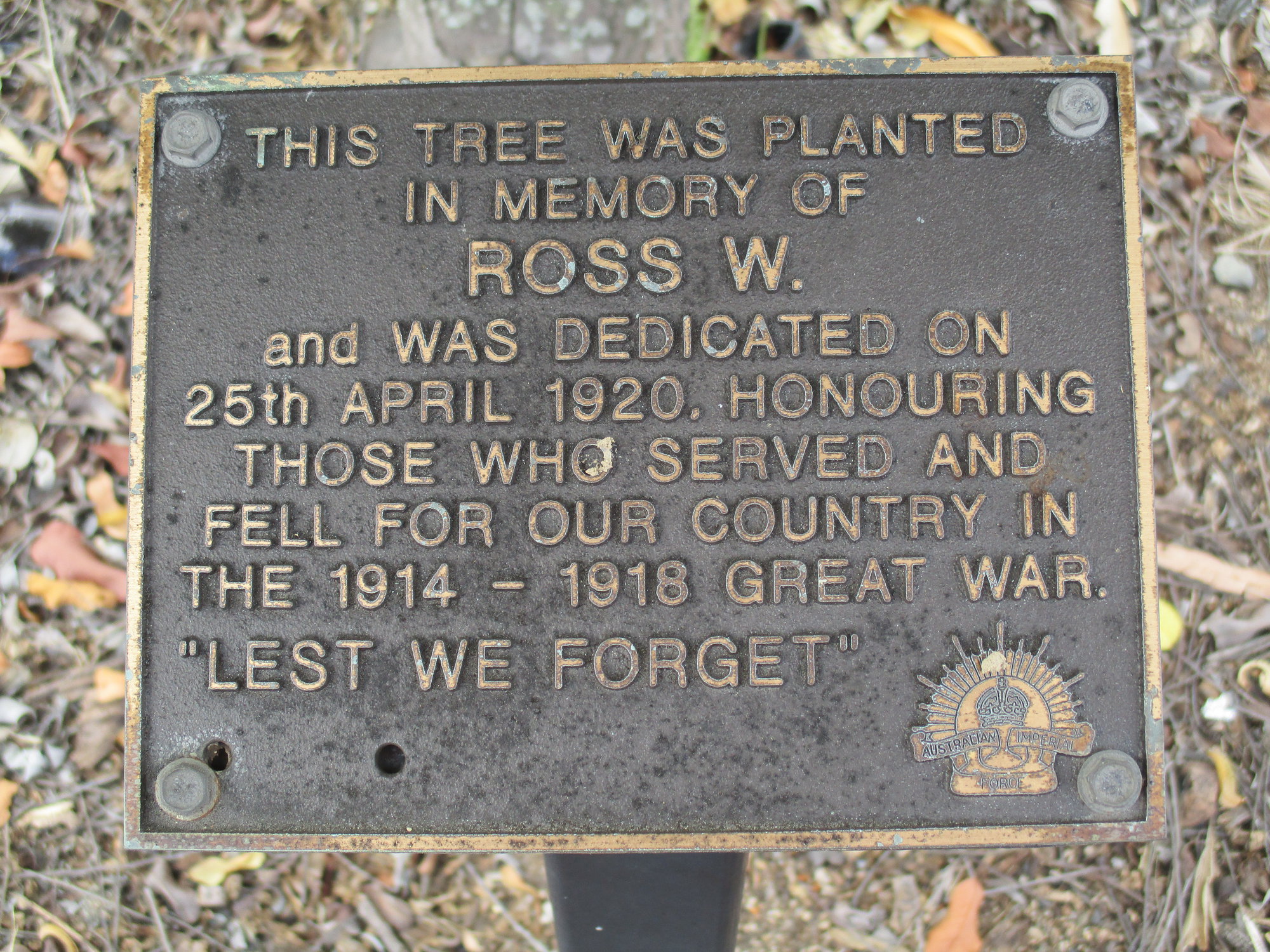 Woodford Memorial Trees - Ross, W.