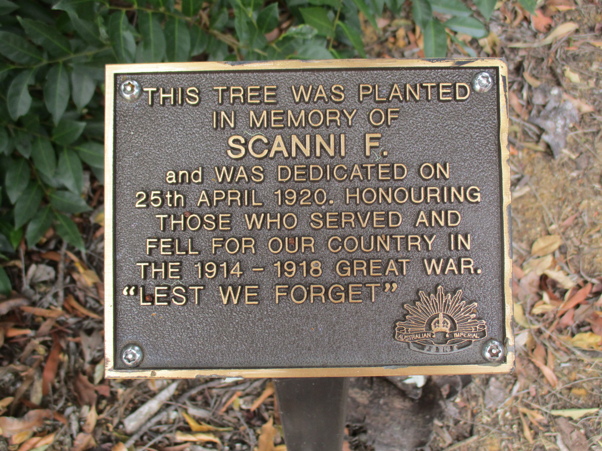 Woodford Memorial Trees - Scanni, F.