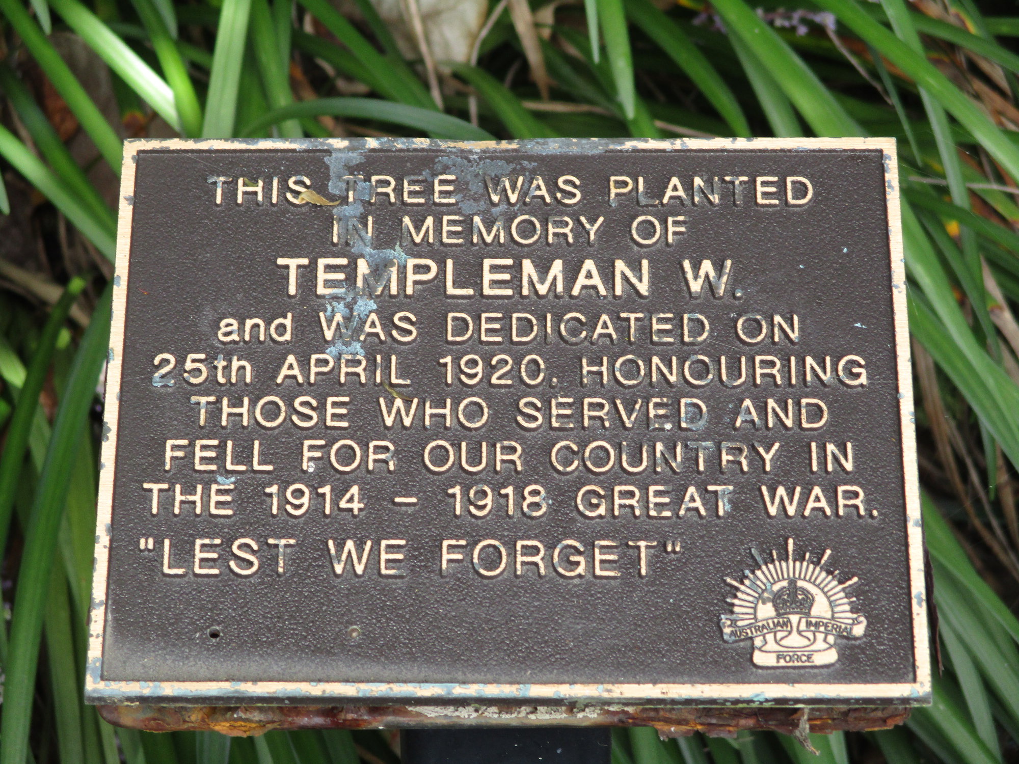Woodford Memorial Trees - Templeman, W.