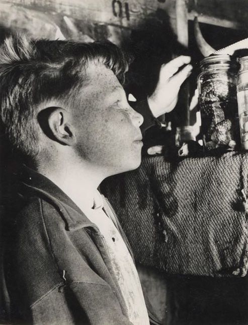 Rodney Kay - Looking at a snake in a jar