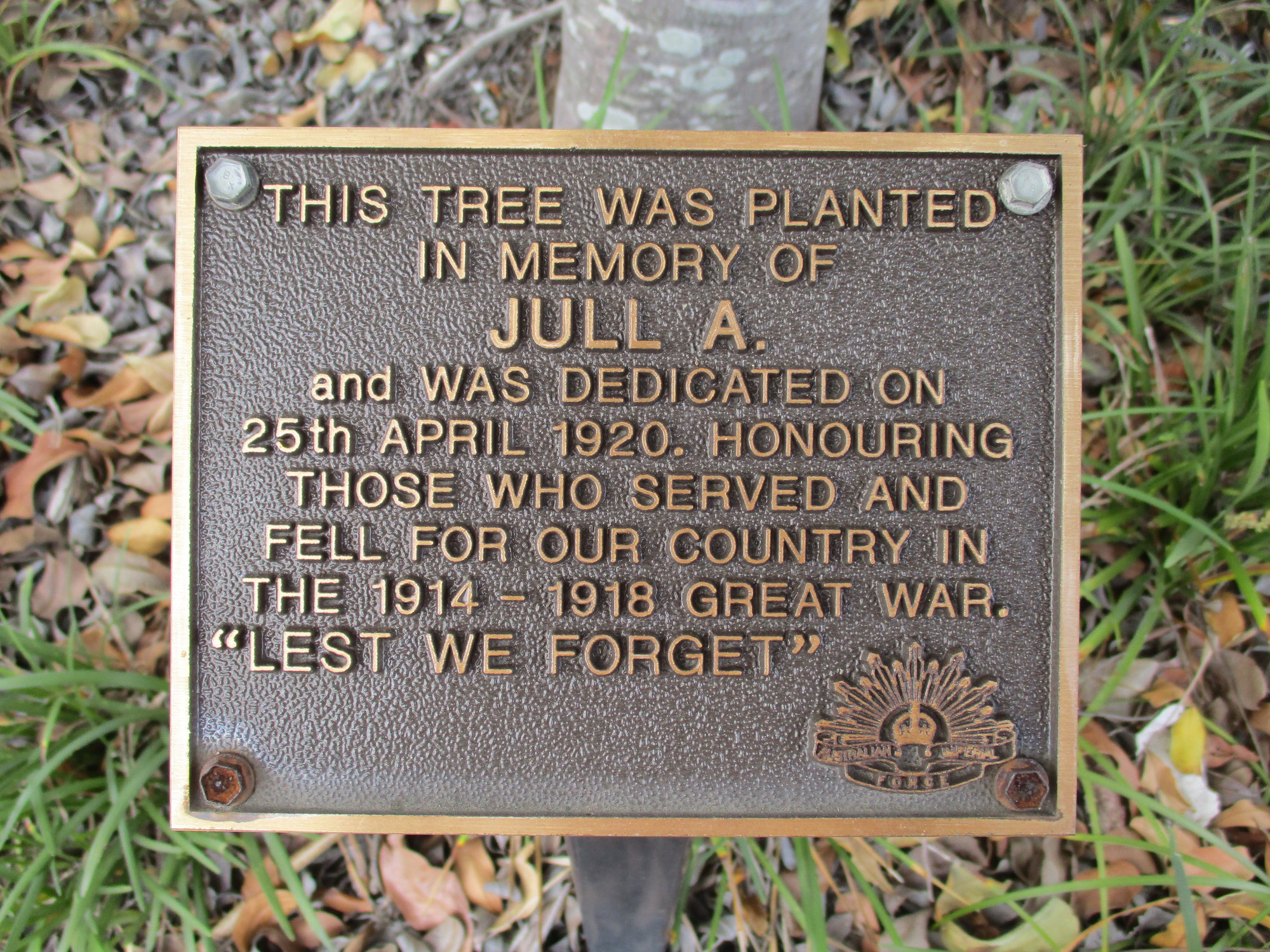 Woodford Memorial Trees - Jull, A. 
