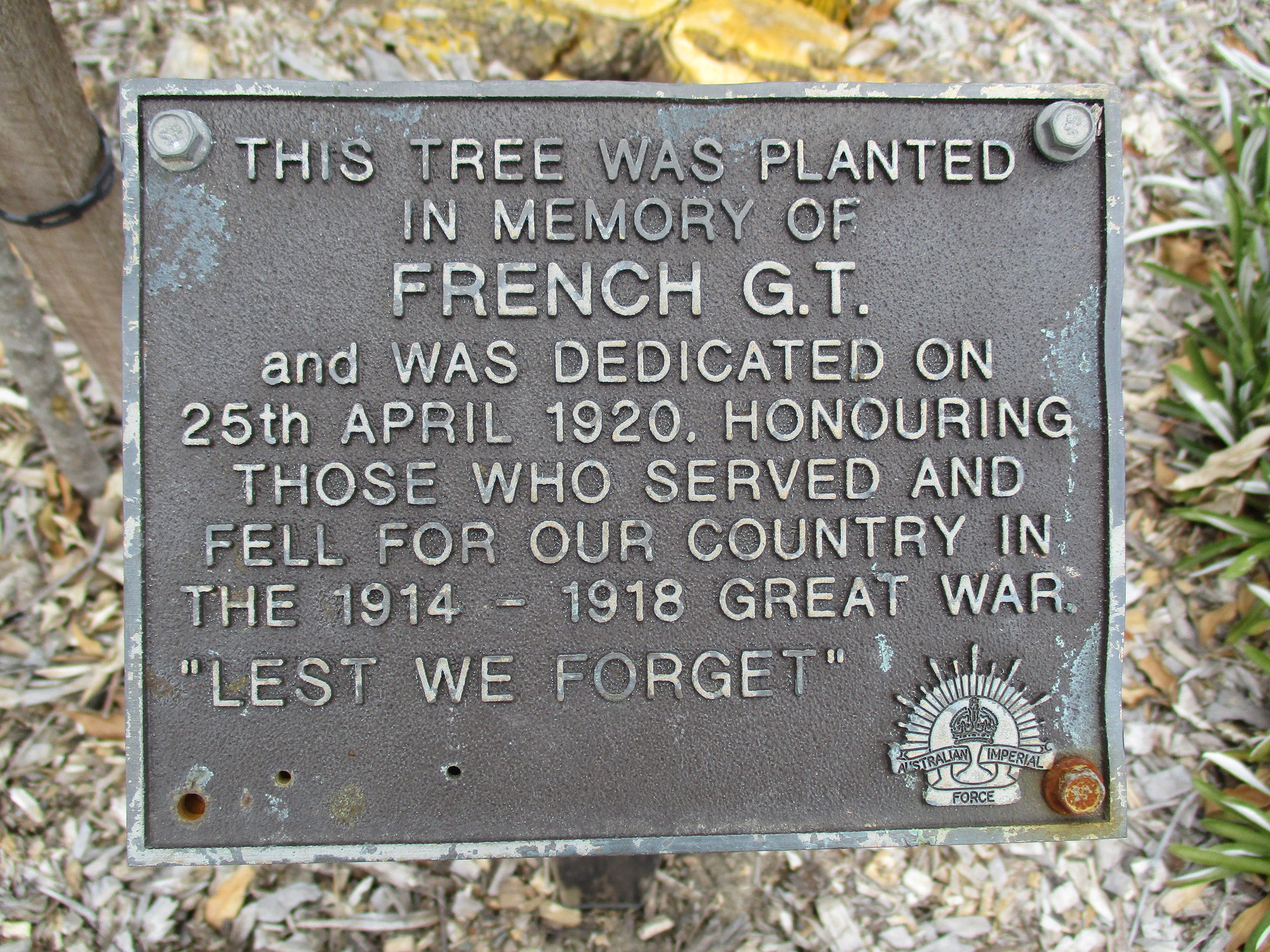 Woodford Memorial Trees - French, G. T. 