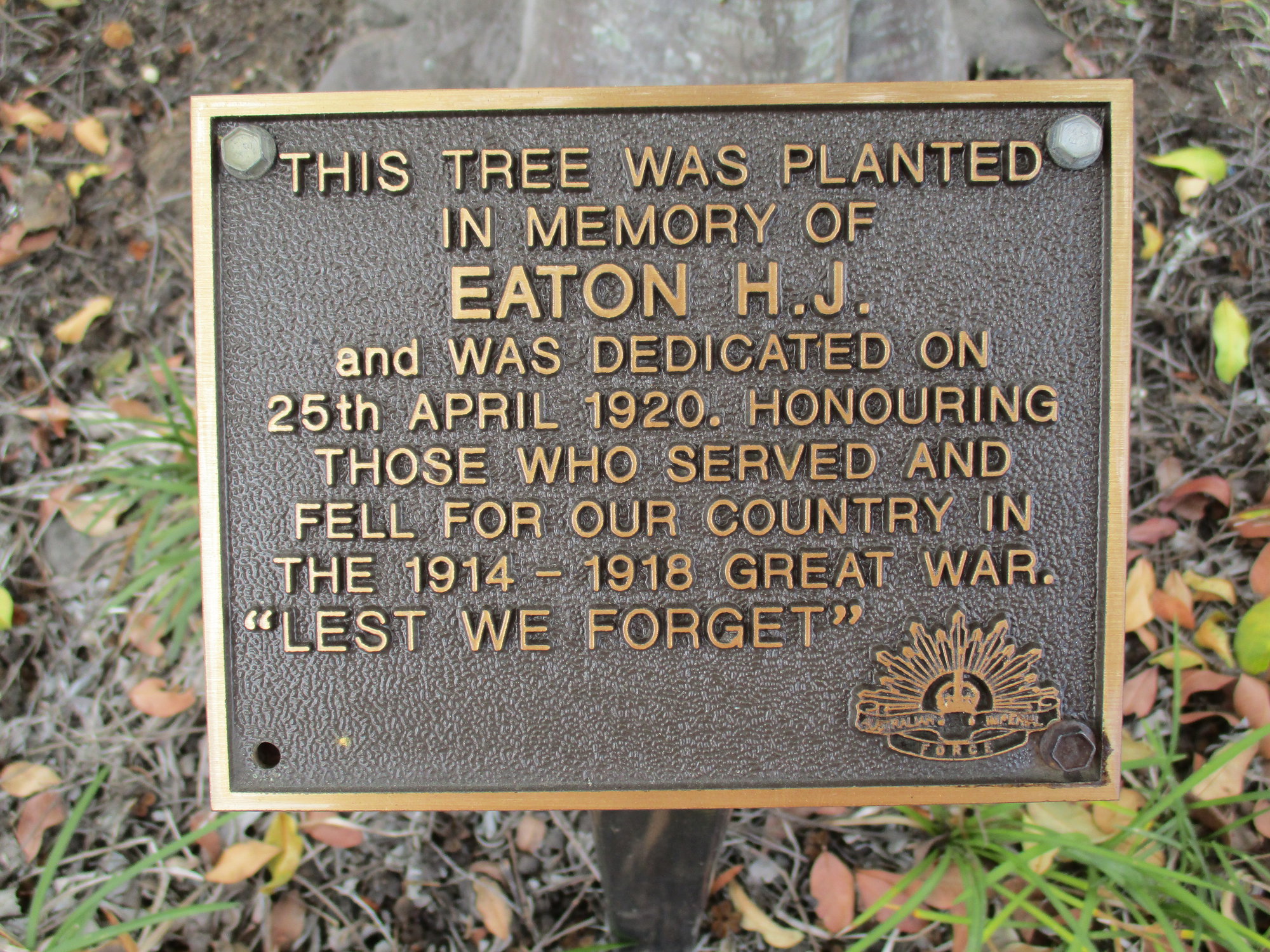 Woodford Memorial Trees - Eaton, H. J.