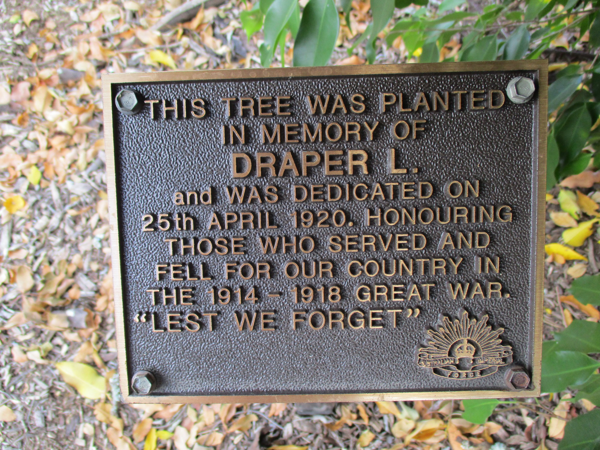 Woodford Memorial Trees - Draper, L.