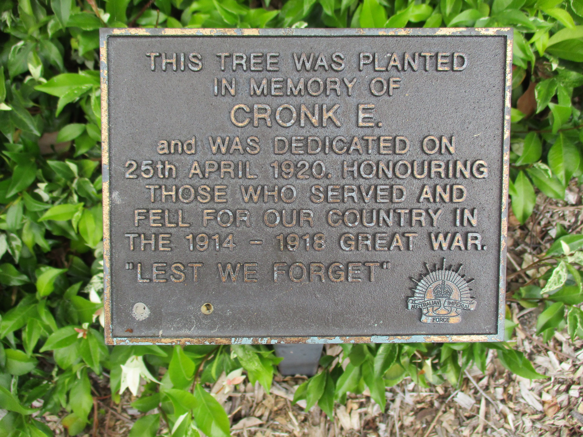 Woodford Memorial Trees - Cronk, E.