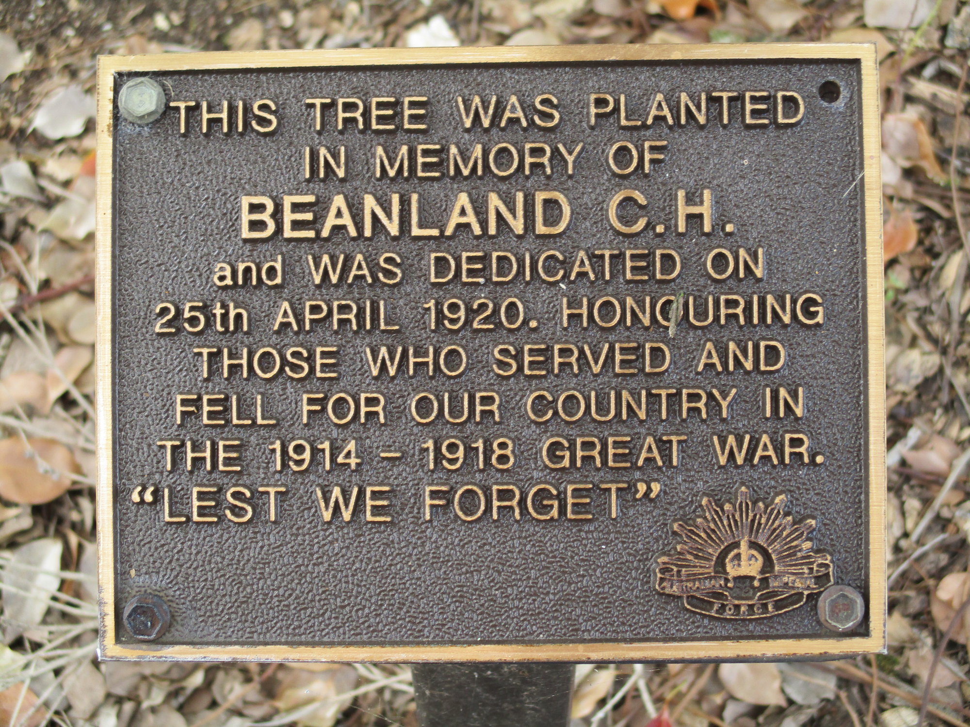 Woodford Memorial Trees - Beanland, C. H.