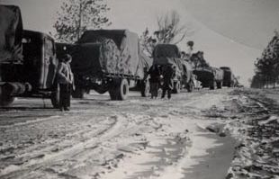 Transport held up with snow drifts