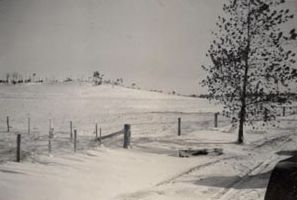 Not English Countryside