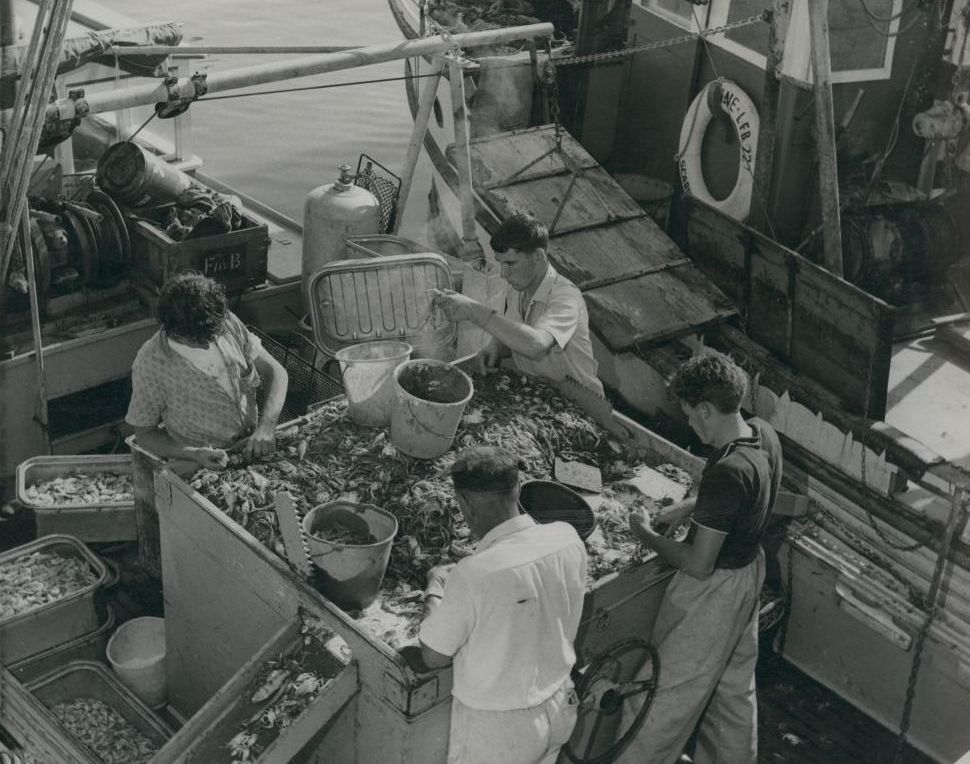 BNE-LFB-227-Scarborough