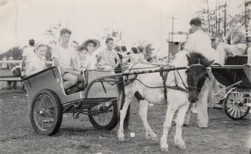 Children in a cart being pulled by a pony