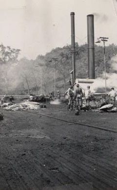 Whaling on Moreton Island