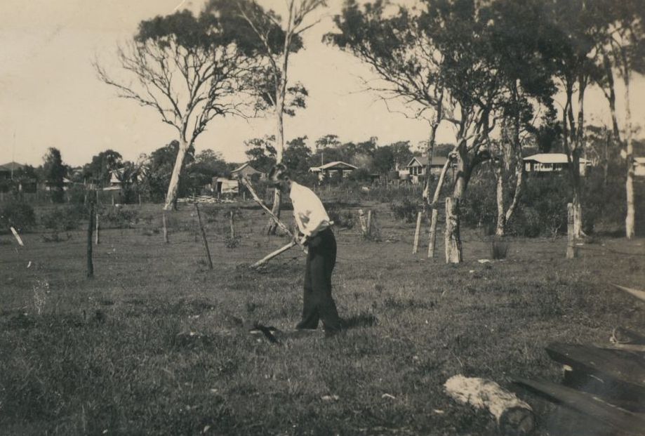 Collecting Wood