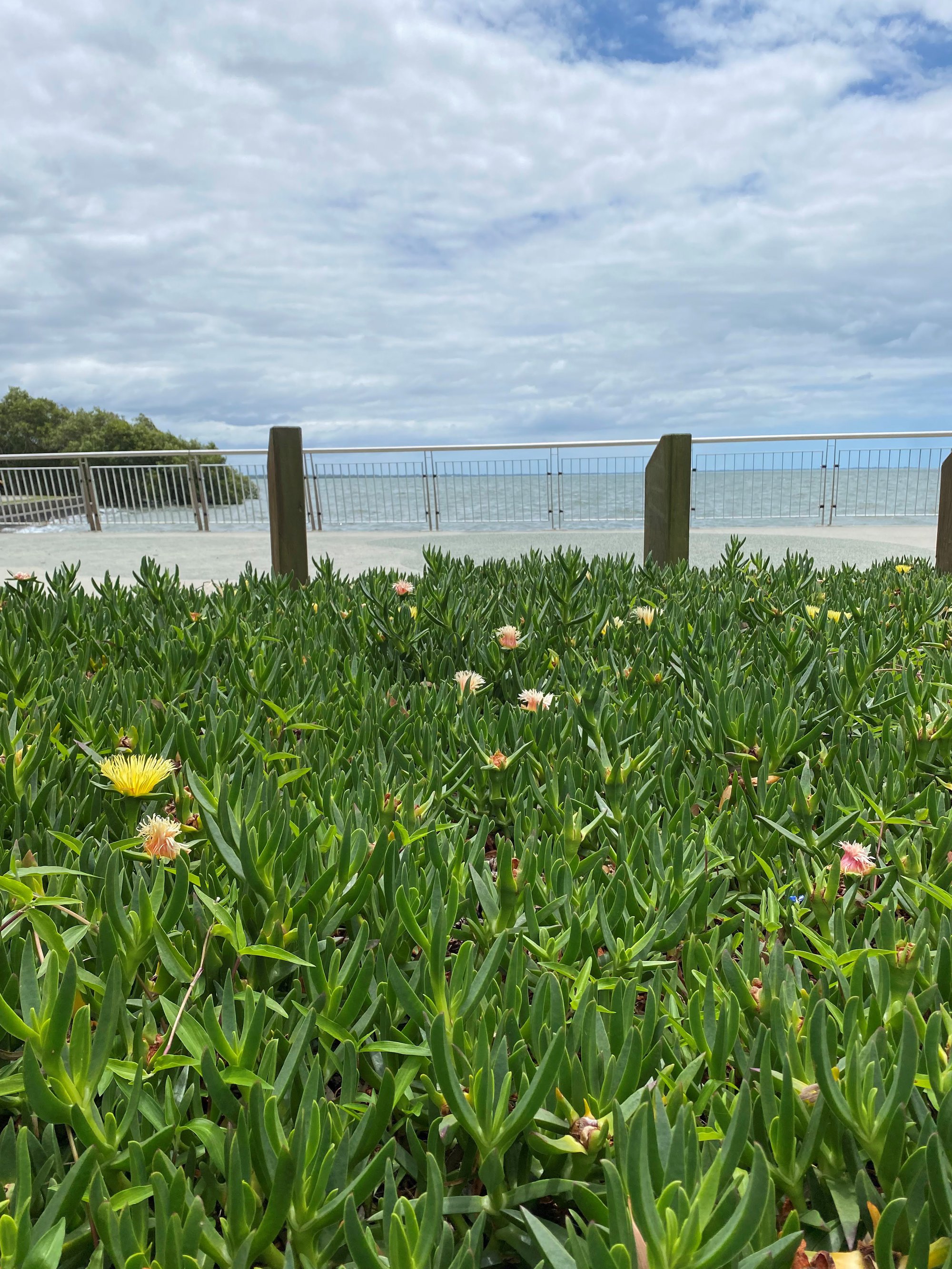 Deception Bay Heritage Trail - Stop 15 - Fishing Traditional Style