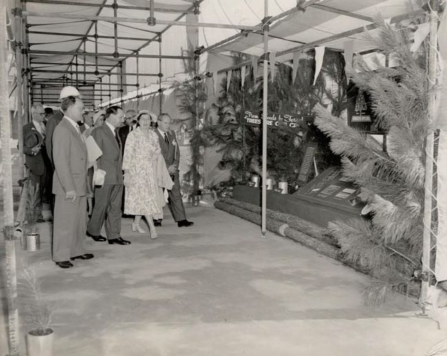 Displays being viewed by VIPs
