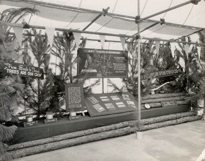 Forestry Display at Show