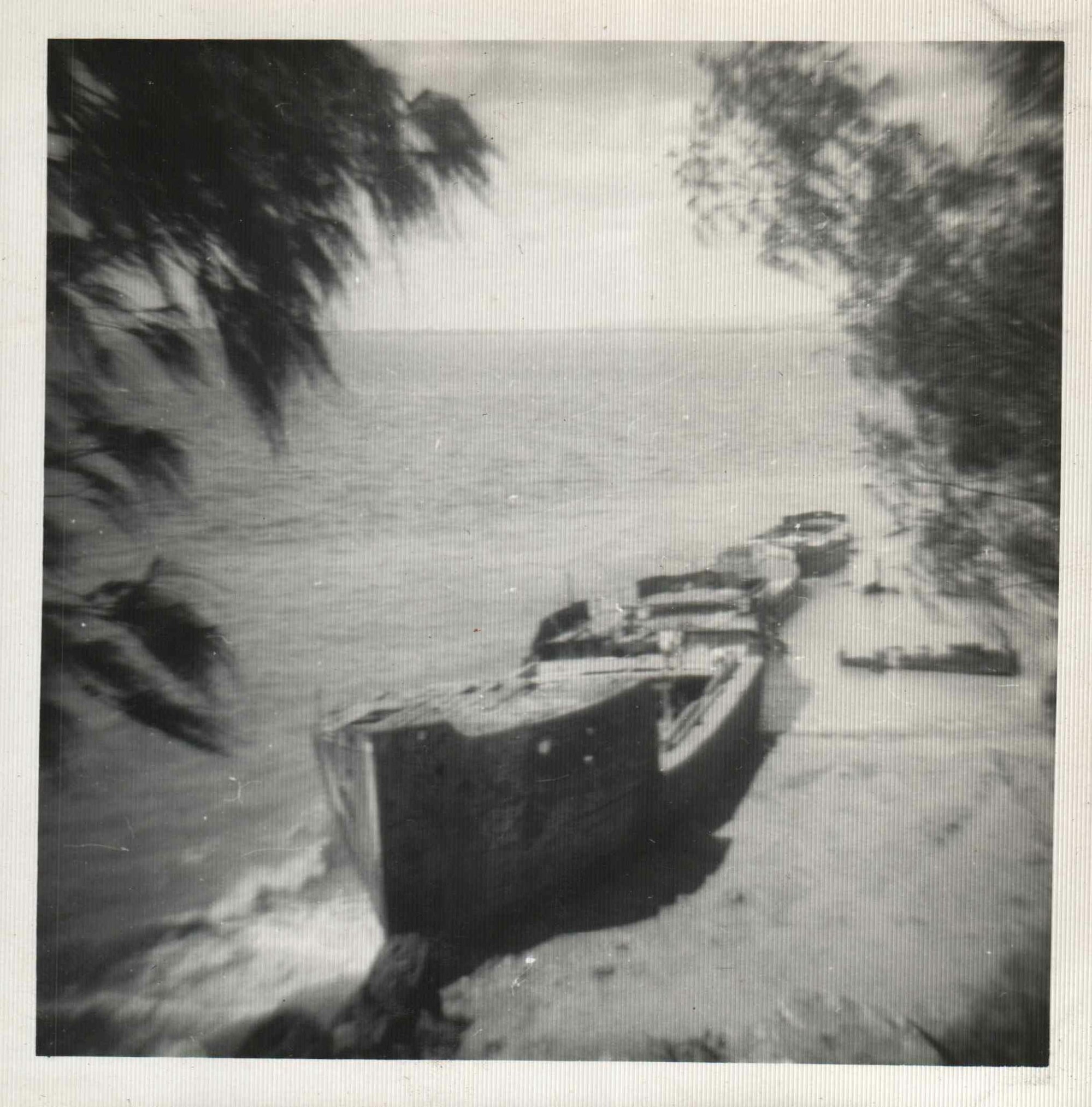Woody Point wrecks
