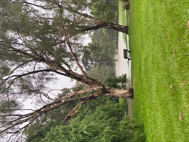 2022 Flood - Penson Park