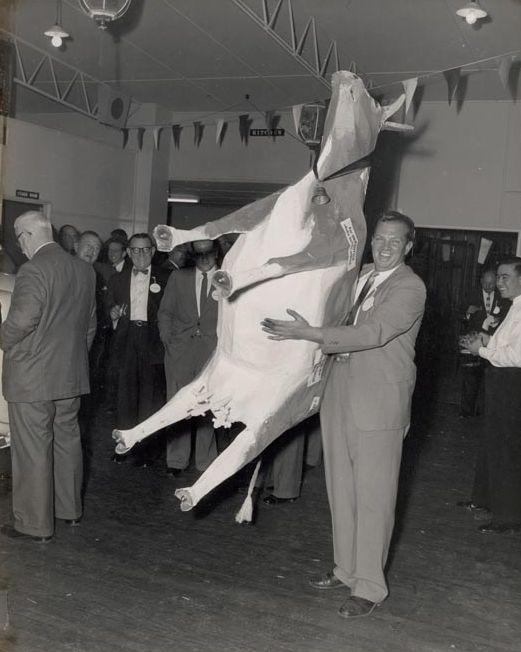 Reg Kay holding up model cow