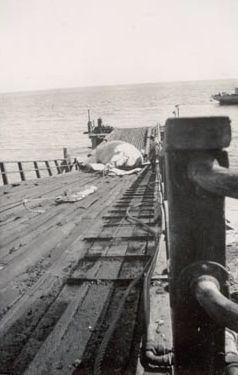 Whale carcass being dragged up ramp