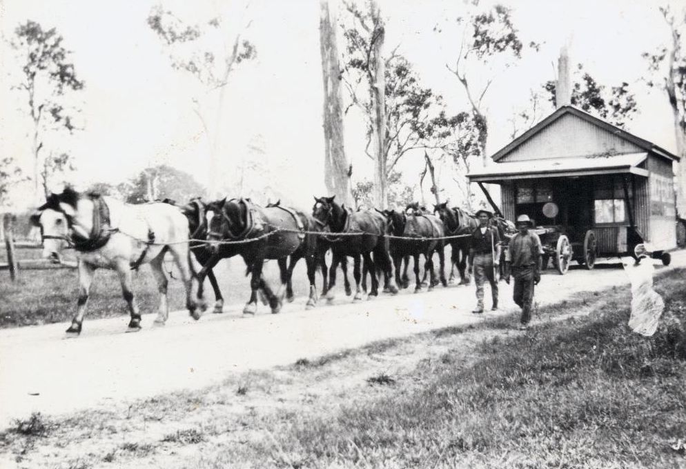 Jack Myles and Aubrey Austin using a horse team to move a shop from Bald Hills to Redcliffe