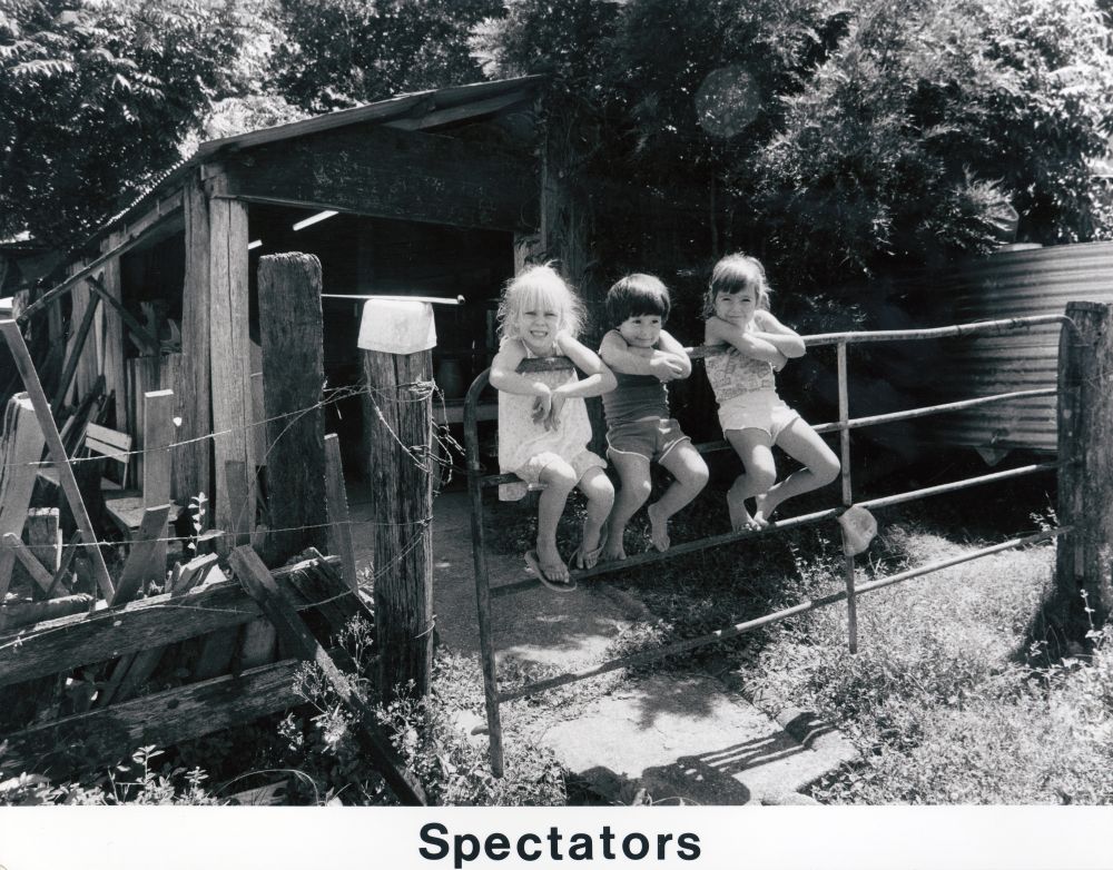 Young children sitting on a gate at the North Pine Country Park