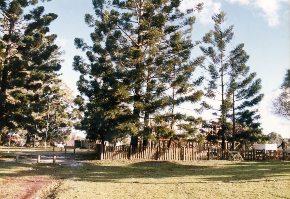 Site and framework of Hyde Homestead under construction, North Pine Country Park