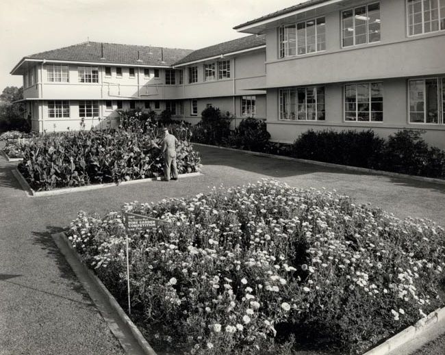 George Harvey tending the Garden Beds