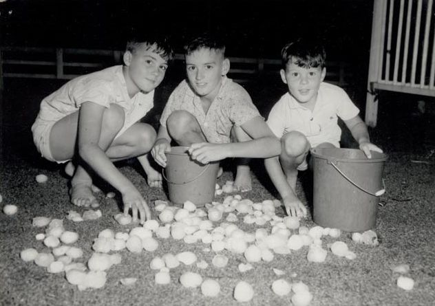 3 Boys picking up hail stones