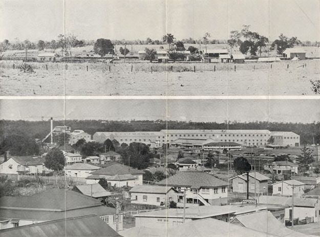 Before &amp; After view of Petrie Mill Site